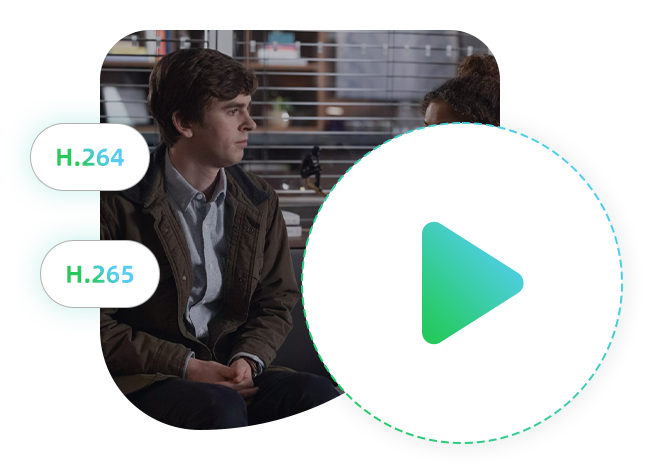 H.264 または H.265をサポート