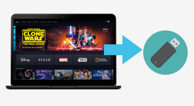 Disney+ の動画をUSBメモリに保存