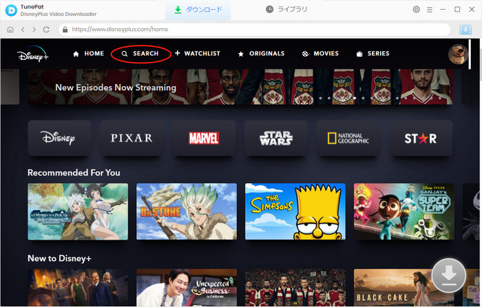 Disney+動画を検索